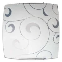 1005205477  фото