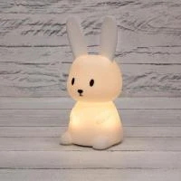 503-022 Neon-Night фото