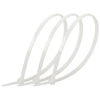 Б0065988 Эра фото