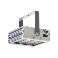 USS00-018D0DDF03F06002 ФОКУС фото