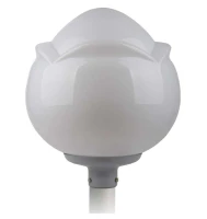 00639 GALAD фото