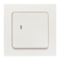 RCV-ST1-WS-ZB EKF фото