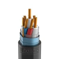 Т0000063422 Кабэкс фото