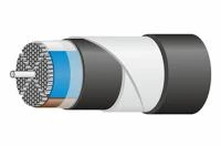  БПИ и СПЭ фото