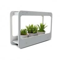 5009554 JazzWay фото