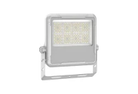 17082123351 Русский Свет фото