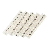 zb-st-6-1-50  фото