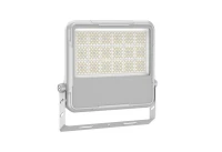 17082123364 Русский Свет фото