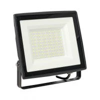 FLL-3006-100-6500 EKF фото