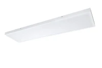 14062023247 Русский Свет фото