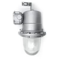 0206-0017 Свет Витебск фото