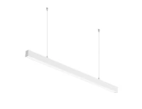 11050224298  фото