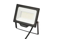 15081023278 Русский Свет фото