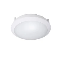 15072523442 Русский Свет фото