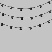 331-243 Neon-Night фото