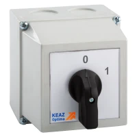 138274 КЭАЗ фото