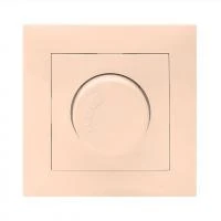 EWD06-101-20 EKF фото