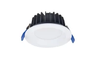 11042023232 Русский Свет фото