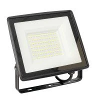 FLL-3005-75-6500 EKF фото