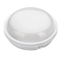 20070123069 Русский Свет фото