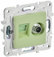 SK-AK20-1-K06  фото