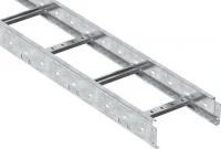 CLM40-055-200-3-150-HDZ IEK фото