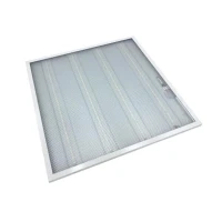 0117-0005 Свет Витебск фото