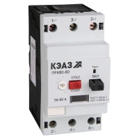 269962 КЭАЗ фото