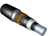  БПИ и СПЭ фото