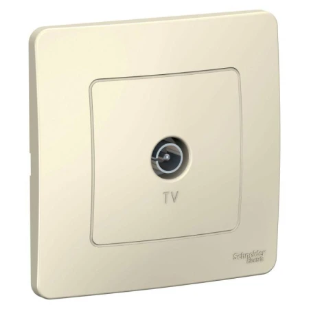 Systeme Electric BLNTS000012