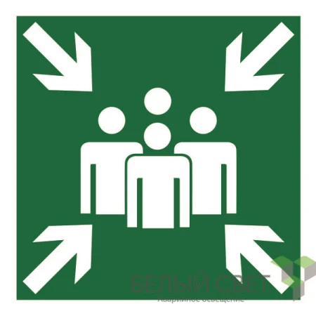 Белый свет a13224