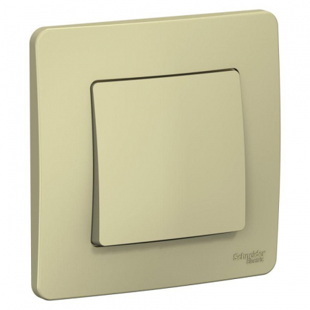 Systeme Electric BLNVS010607