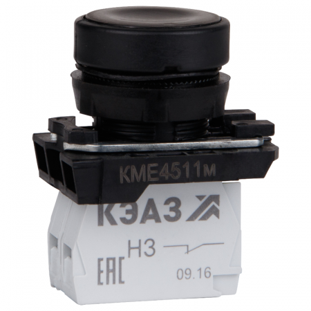 КЭАЗ 248246