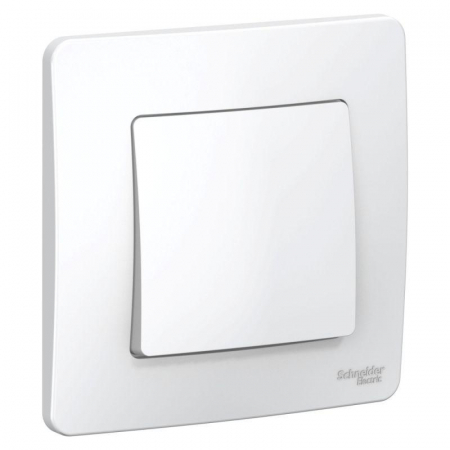 Systeme Electric BLNVS010101