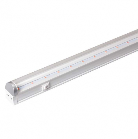 JazzWay 5010376