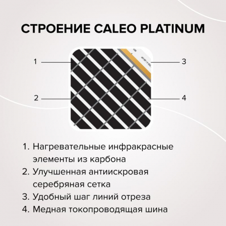 CALEO КА000001319
