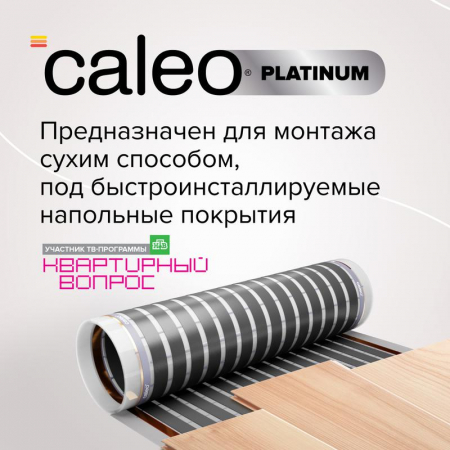 CALEO КА000001319