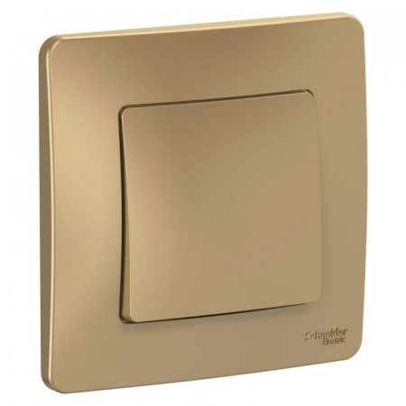 Schneider Electric BLNVS010604