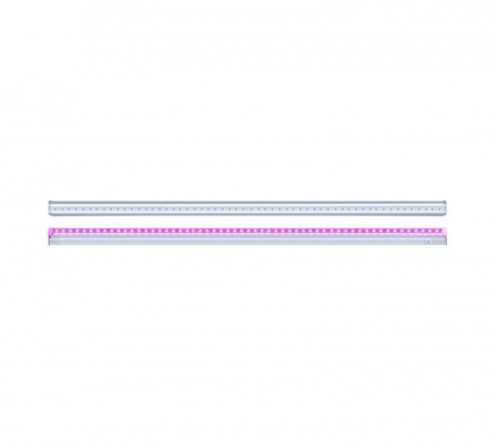 JazzWay 5025950