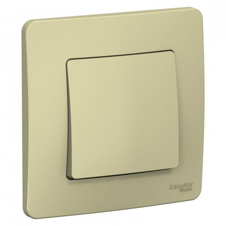 Systeme Electric BLNVS010107